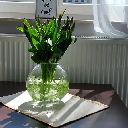 Polhouse Apartment Rzeszow