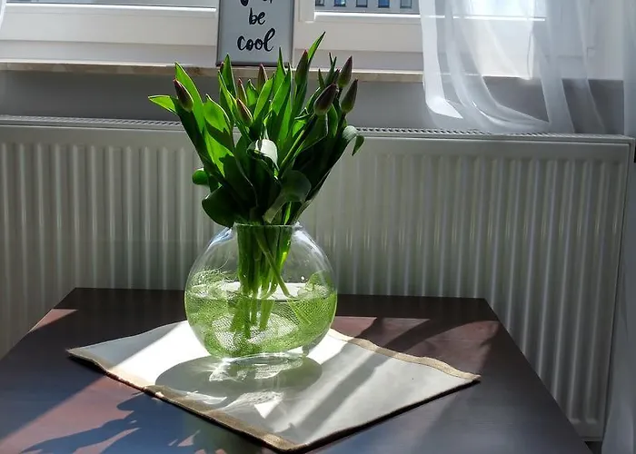 Polhouse Apartment Rzeszow